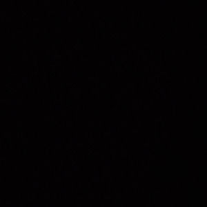 Meet your Posher, Dawson